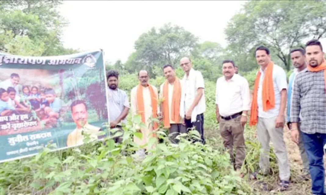रामदास द्रोपदी फाउंडेशन की अभिनव पहल, पडिग़ांव पुसौर में किया गया पौधारोपण