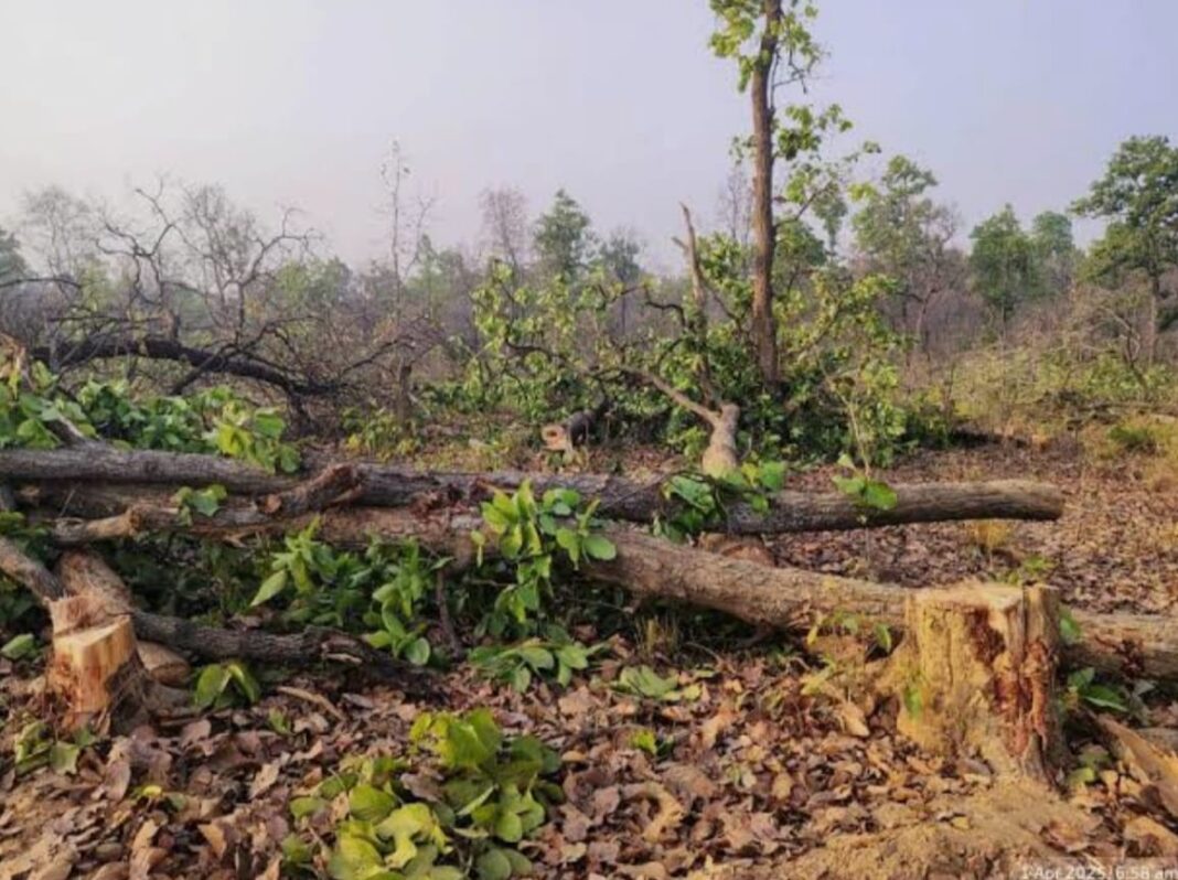 अडानी का मुड़ागांव में पेड़ कटाई पार्ट-2 शुरू, ग्रामीणों में जबरदस्त आक्रोश…प्रशासन कर रहा कंपनी का खुलकर मदद