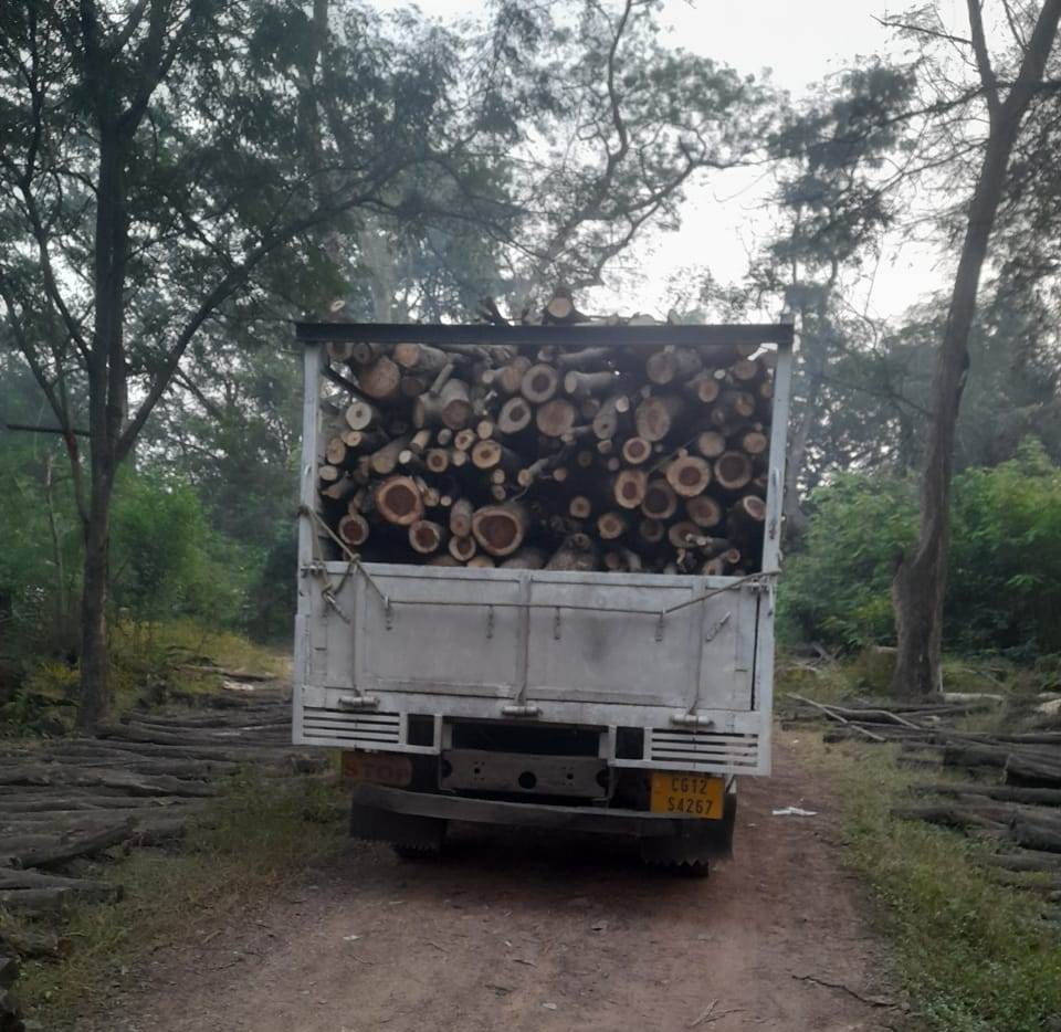रायगढ़ वन विभाग की बड़ी कार्रवाईः लकड़ी के अवैध परिवहन में दो वाहन जब्त