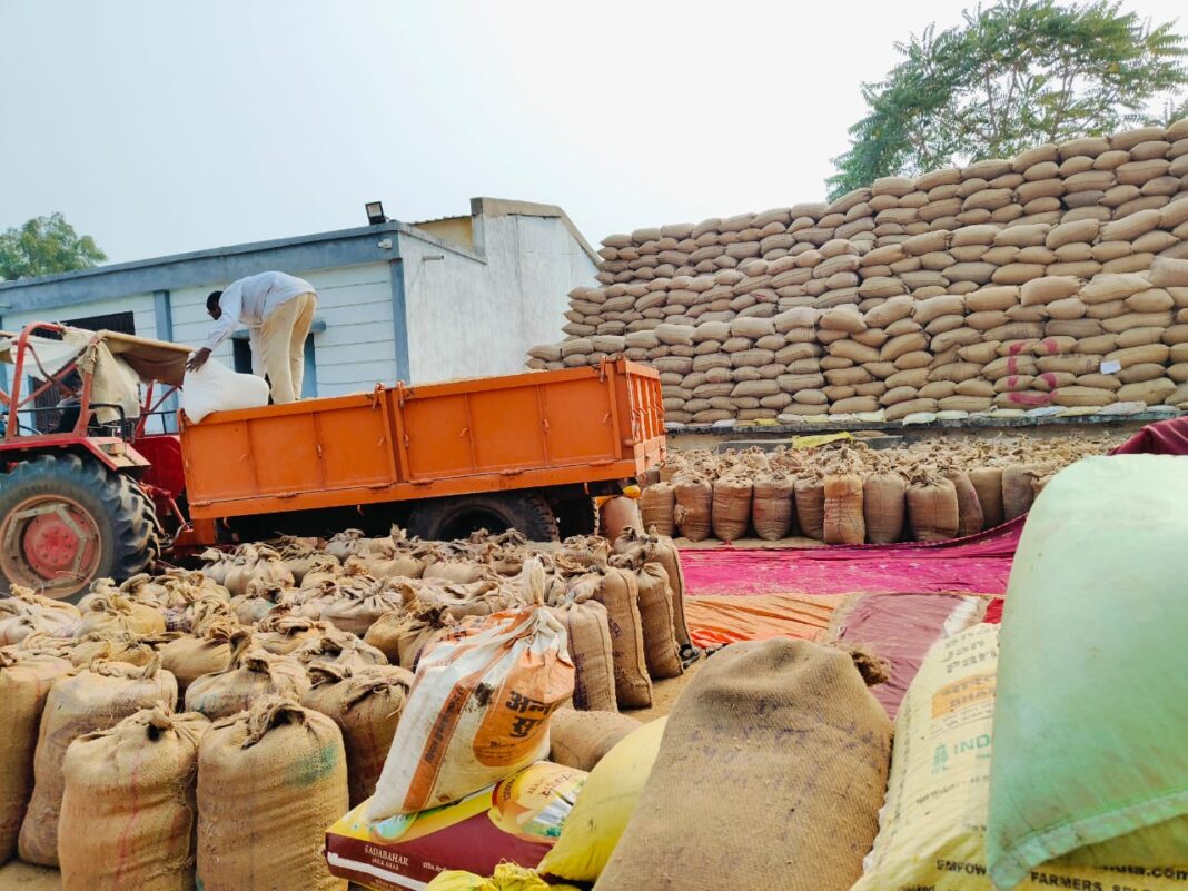 धान खरीदी में लापरवाही पर समिति प्रबंधक और सहायकों पर हुई कार्रवाई, तीन निलंबित एवं दो का वित्तीय प्रभार समाप्त