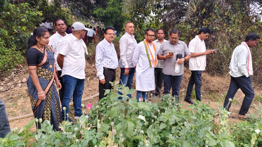 अफीम की खेती देखने जिला अध्यक्ष नगेन्द्र नेगी के नेतृत्व में तमनार पहुंचा कांग्रेस का प्रतिनिधिमंडल
